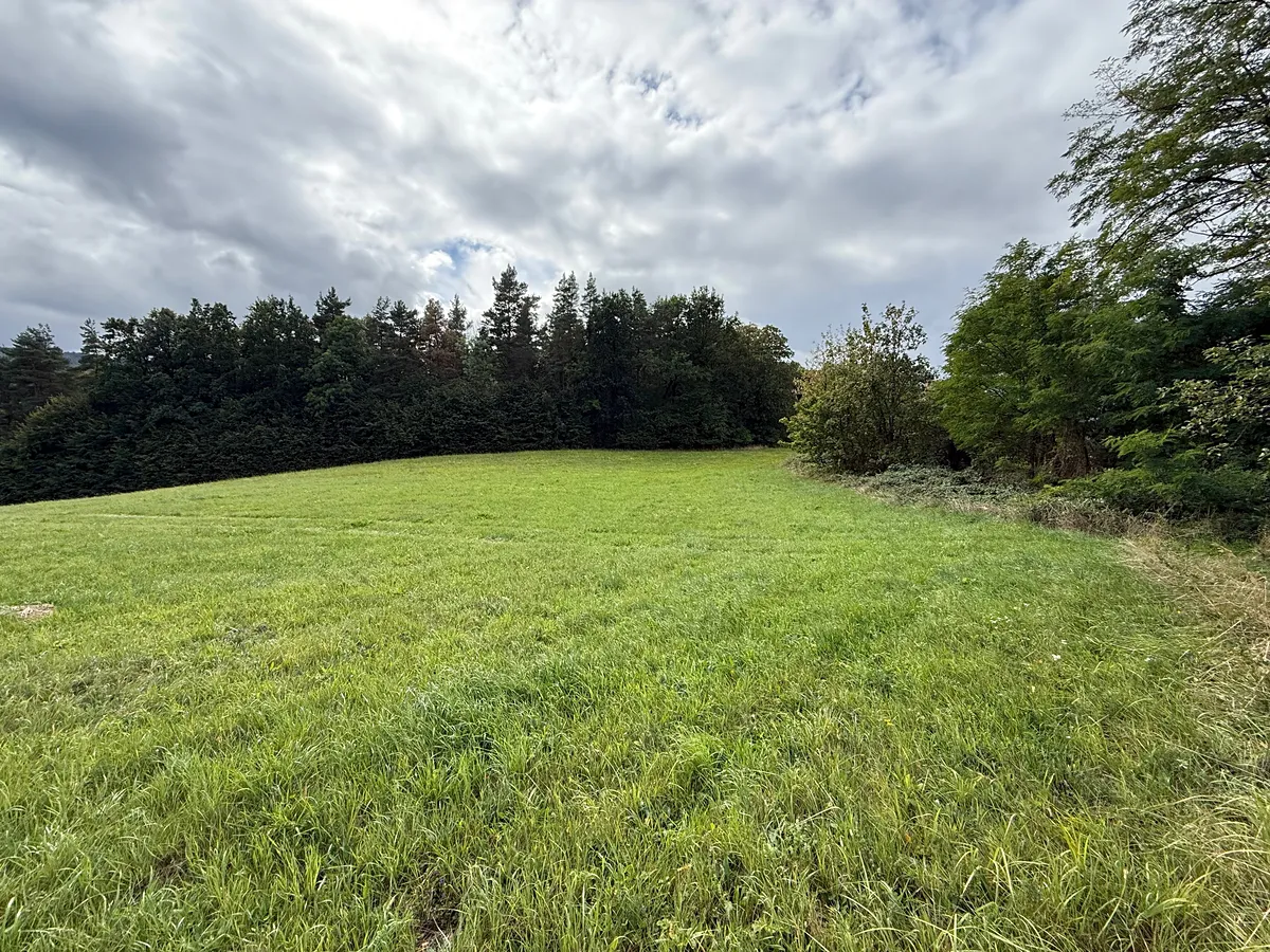Prodej pole 7373 m²